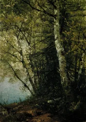 Étude de hêtres, 1872