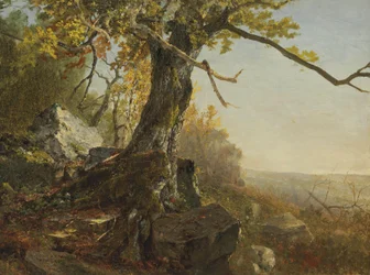 Arbre dans un paysage