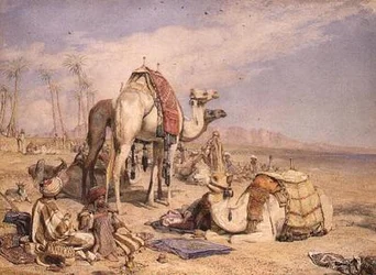 Une halte dans le désert