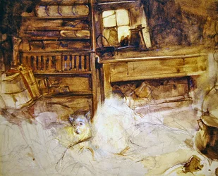 Un terrier dans un cottage des Highlands