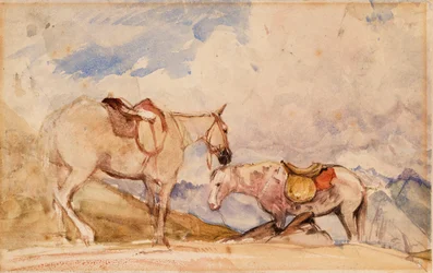 Deux chevaux