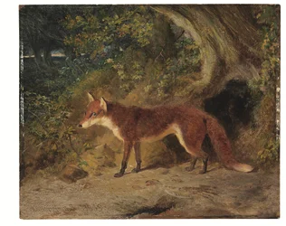 Le renard roux