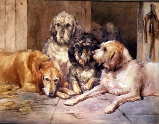 Les chiens de loutre