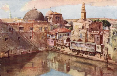 Jérusalem, la piscine d