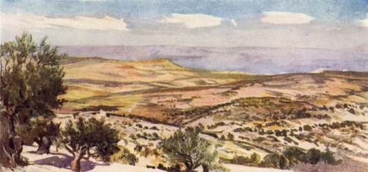 Les champs de Ruth et Boaz, près de Bethléem