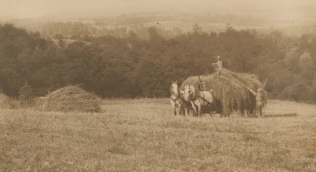Chargement du foin,1890-1900 (photo)