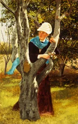 Parmi les arbres