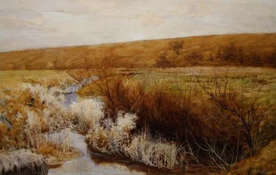 Un pré en hiver