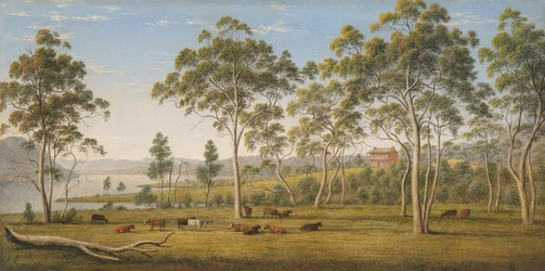 Maison de M. Robinson sur la Derwent, Van Diemen