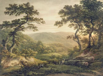 Forêt de Needlewood, Hampshire