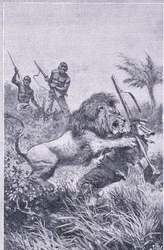 La fin de Livingstone, Newnes Pictorial Knowledge publié par Newnes, vers les années 1950