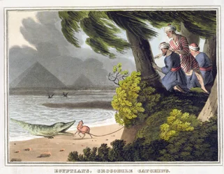 Capture de crocodiles par les Égyptiens, gravée par Matthew Dubourg (fl.1785-1820), publiée par Edward Orme