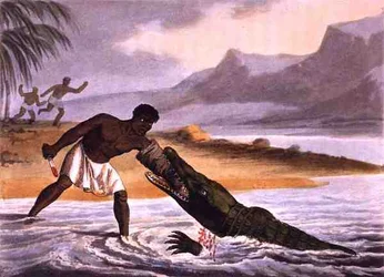 Les chasseurs de crocodiles africains (gravure)
