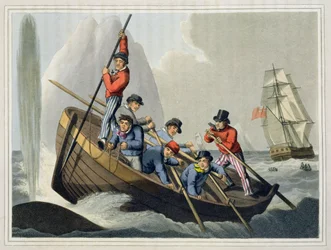 Un bateau attaquant une baleine, gravé par Matthew Dubourg, publié par Edward Orme, 1813