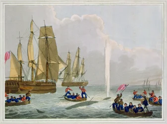 Bateaux approchant une baleine, gravé par Matthew Dubourg, publié par Edward Orme
