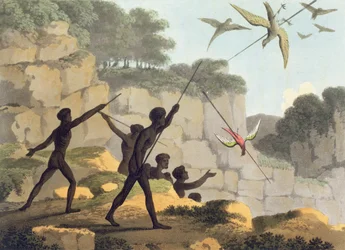 Lancer de la lance, aborigènes chassant des oiseaux de Nouvelle-Galles du Sud gravé par Matthew Dubourg (f.1813-1820) pub. 1813