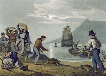 Capture de Tortues sur Terre, gravé par Matthew Dubourg, publié par Edward Orme, 1813
