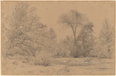 Paysage, début du printemps