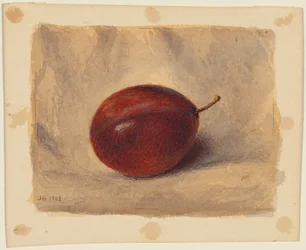 Prune