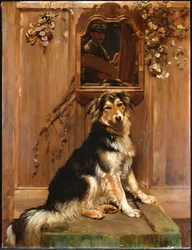 Un chien et un miroir