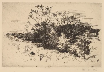 Automne à Avondale