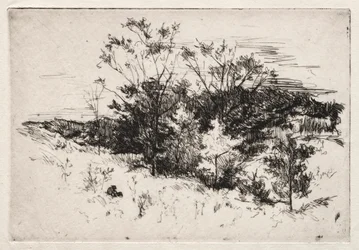 Paysage d