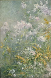 Fleurs des prés (Verge d