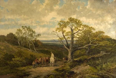 Vue dans la forêt de Sherwood, Nottinghamshire