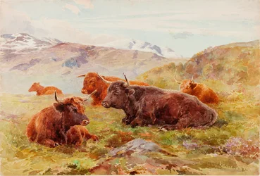 Paysage des Highlands avec du bétail