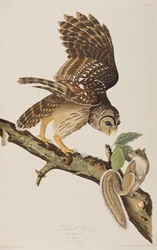 Illustration de 