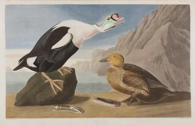 Illustration de 