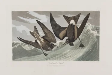 Illustration de 