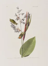 Illustration de 