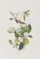 Illustration de 