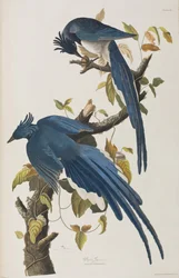 Illustration de 