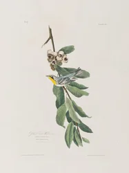 Illustration de 