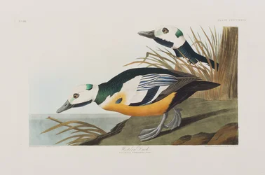 Illustration de 