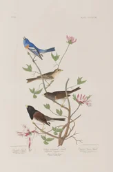 Illustration de 