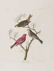 Illustration de 