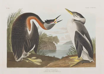 Illustration de 