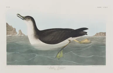 Illustration de 
