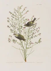 Illustration de 