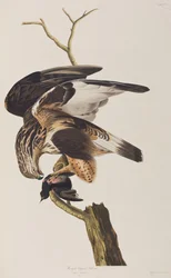 Illustration de 