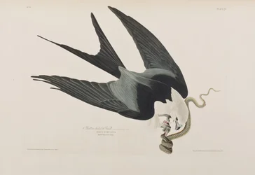 Illustration de 