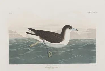 Illustration de 