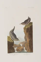 Illustration de 