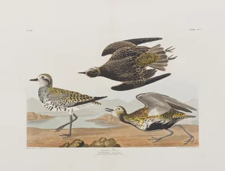 Illustration de 