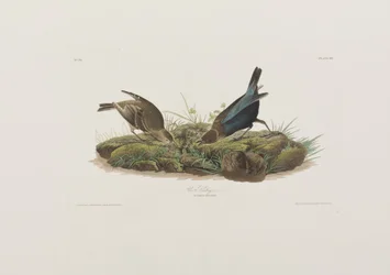 Illustration de 