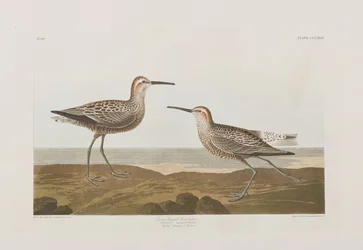 Illustration de 
