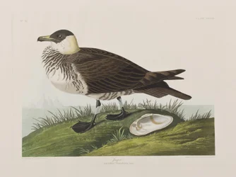 Illustration de 
